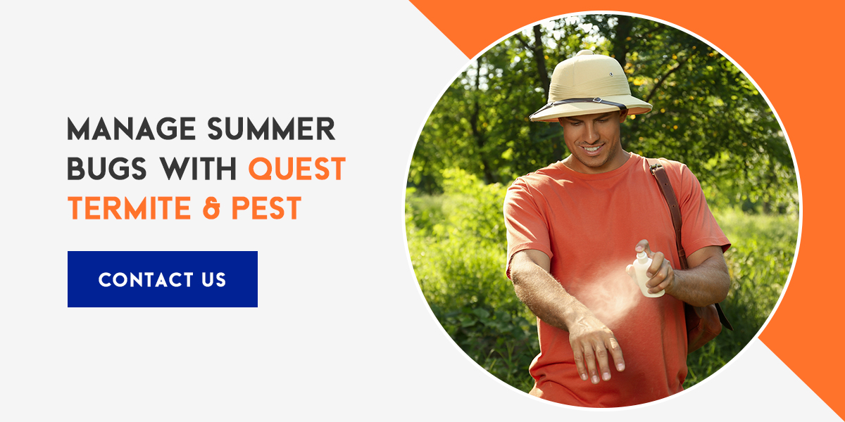 How To Handle Summer Pests Blog Quest Termite Pest