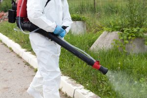 Read more about the article What Is the Difference Between One-Time Corrective Pest Control Service and Long-Term Recurring Services?